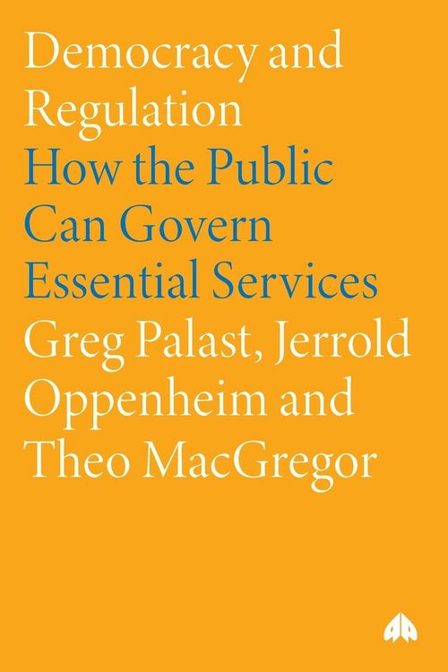 Produktbild: Democracy and Regulation