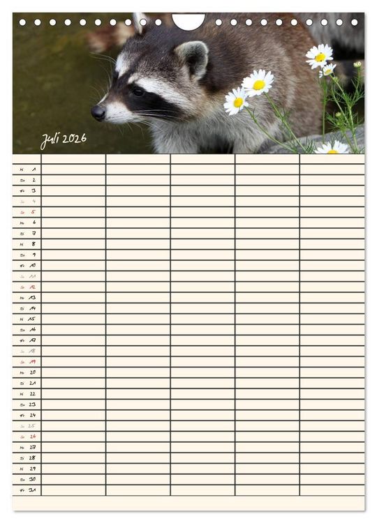 Produktbild: Waschb&auml;ren Familienplaner (Wandkalender 2026 DIN A4 hoch), CALVENDO Monatskalender