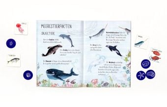 Produktbild: Flossen hoch!