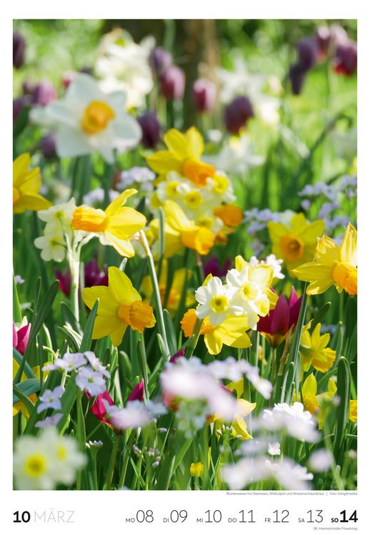 Produktbild: Garten Wochenkalender 2027