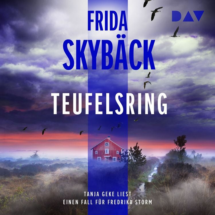 Produktbild: Teufelsring. Ein Fall f&uuml;r Fredrika Storm
