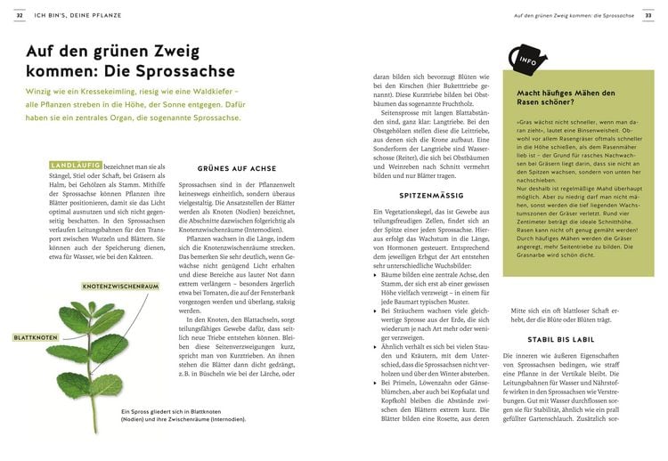 Produktbild: Pflanzen endlich verstehen