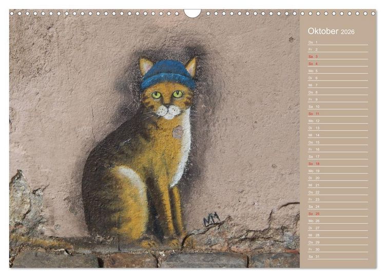 Produktbild: Flensburger Katzen (Wandkalender 2026 DIN A3 quer), CALVENDO Monatskalender