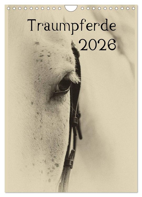 Produktbild: Traumpferde 2026 (Wandkalender 2026 DIN A4 hoch), CALVENDO Monatskalender