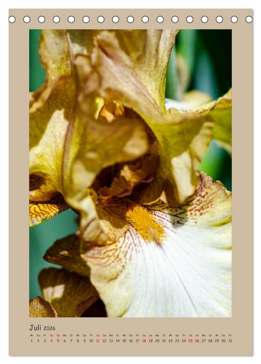 Produktbild: Zauberhafte Iris (Tischkalender 2026 DIN A5 hoch), CALVENDO Monatskalender