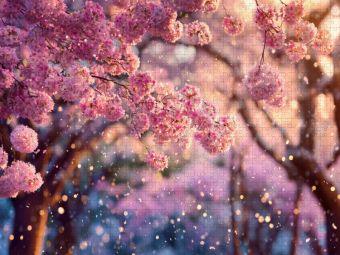 Produktbild: CALVENDO Puzzle Wenn im Licht die Bl&uuml;ten tanzen | 1000 Teile Lege-Gr&ouml;&szlig;e 64x48cm Foto-Puzzle f&uuml;r gl&uuml;ckliche Stunden