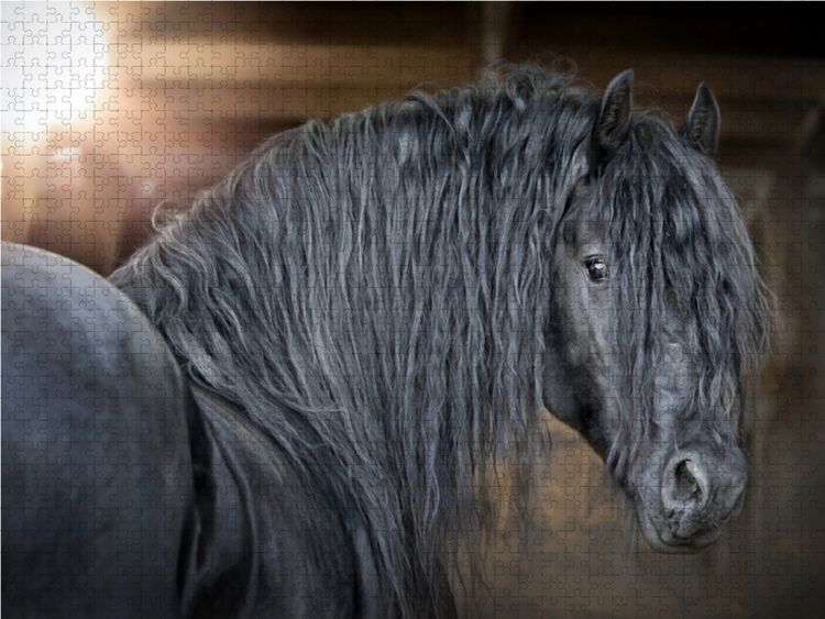 Produktbild: CALVENDO Puzzle Friesen - stolze Giganten 1000 Teile Lege-Gr&ouml;&szlig;e 64 x 48 cm Foto-Puzzle Bild von Martina Wrede