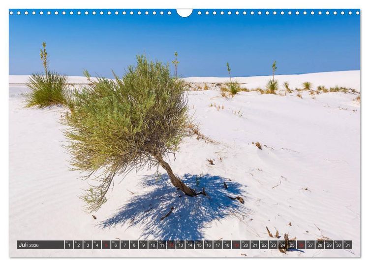Produktbild: WHITE SANDS Die wei&szlig;e W&uuml;ste in New Mexico (Wandkalender 2026 DIN A3 quer), CALVENDO Monatskalender