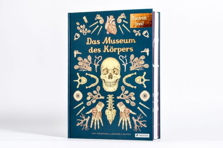 Produktbild: Das Museum des K&ouml;rpers