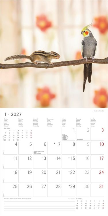 Produktbild: Tierfreundschaften 2027