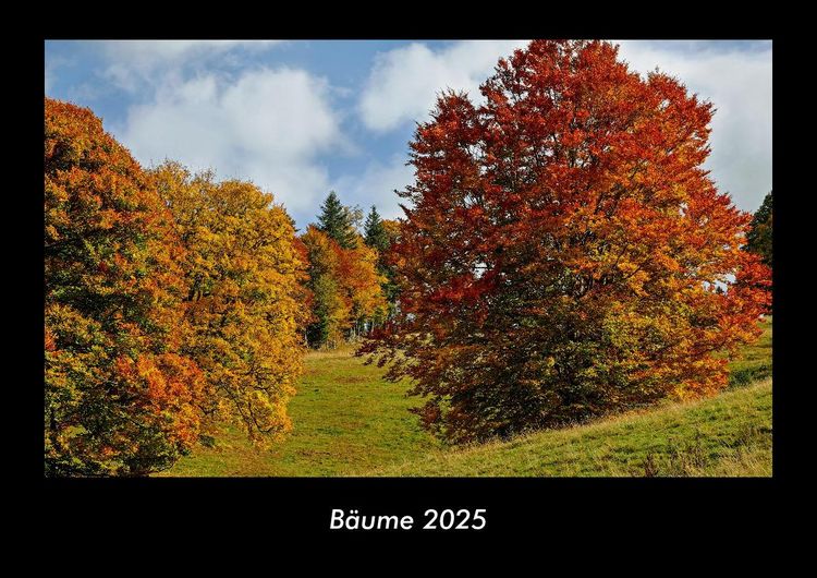 Produktbild: B&auml;ume 2025 Fotokalender DIN A3
