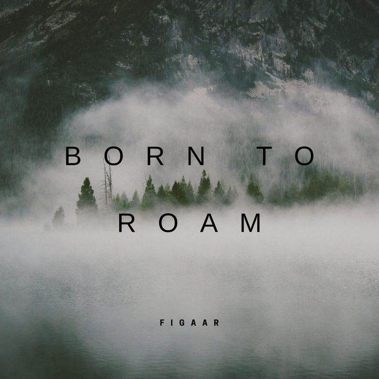 Produktbild: Born To Roam