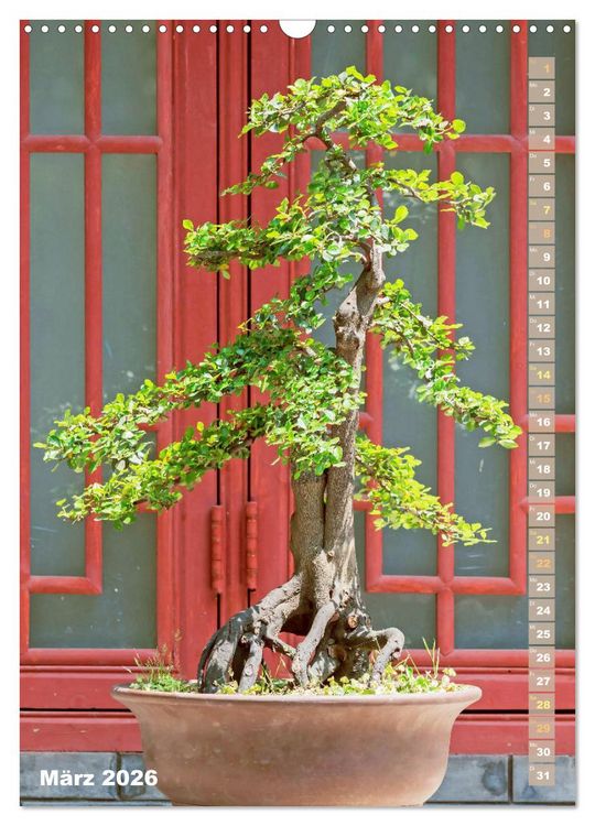 Produktbild: Bonsai: Gartenkunst im Kleinen (Wandkalender 2026 DIN A3 hoch), CALVENDO Monatskalender