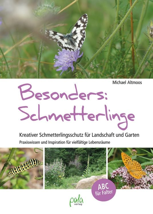 Produktbild: Besonders: Schmetterlinge