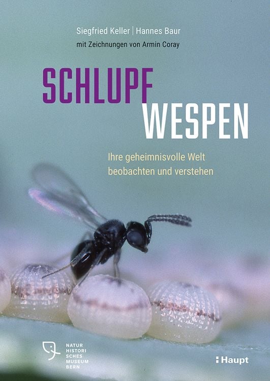 Produktbild: Schlupfwespen