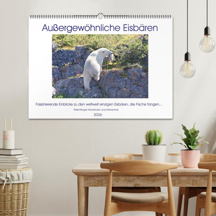 Produktbild: Das Leben der etwas "anderen" Eisb&auml;ren! (Wandkalender 2026 DIN A2 quer), CALVENDO Monatskalender