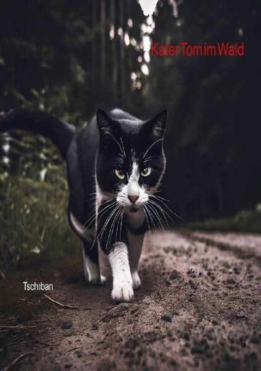 Produktbild: Kater Tom / Kater Tom im Wald