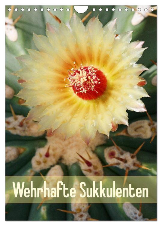 Produktbild: Wehrhafte Sukkulenten (Wandkalender 2026 DIN A4 hoch), CALVENDO Monatskalender