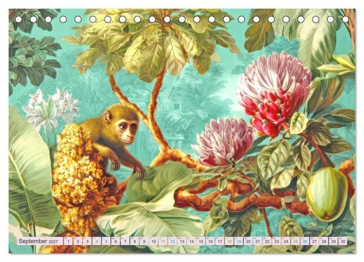 Produktbild: Exotische Pflanzenwelt - Illustrationen (Tischkalender 2027 DIN A5 quer), CALVENDO Monatskalender