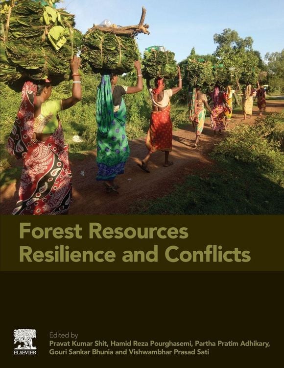 Produktbild: Forest Resources Resilience and Conflicts