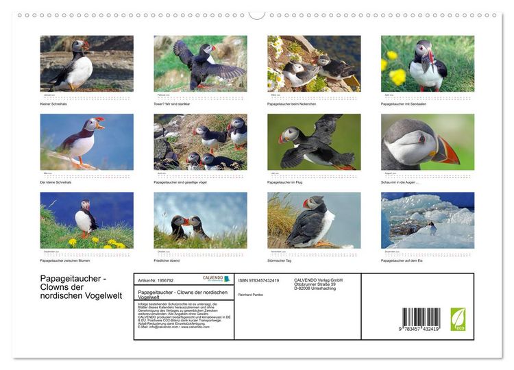 Produktbild: Papageitaucher - Clowns der nordischen Vogelwelt (hochwertiger Premium Wandkalender 2026 DIN A2 quer), Kunstdruck in Hochglanz