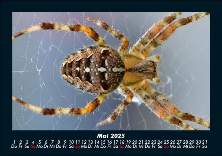 Produktbild: Der Tierkalender 2025 Fotokalender DIN A5