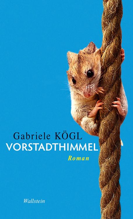 Produktbild: Vorstadthimmel