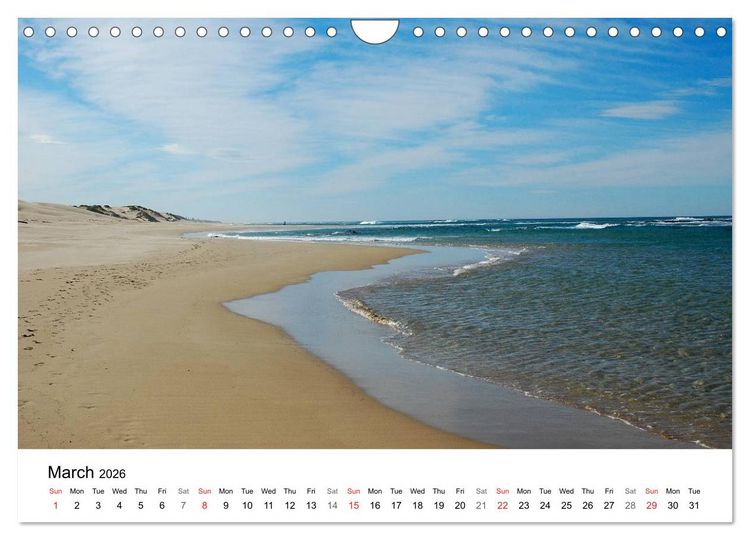Produktbild: Port Elizabeth - South Africa (Wall Calendar 2026 DIN A4 landscape), CALVENDO 12 Month Wall Calendar
