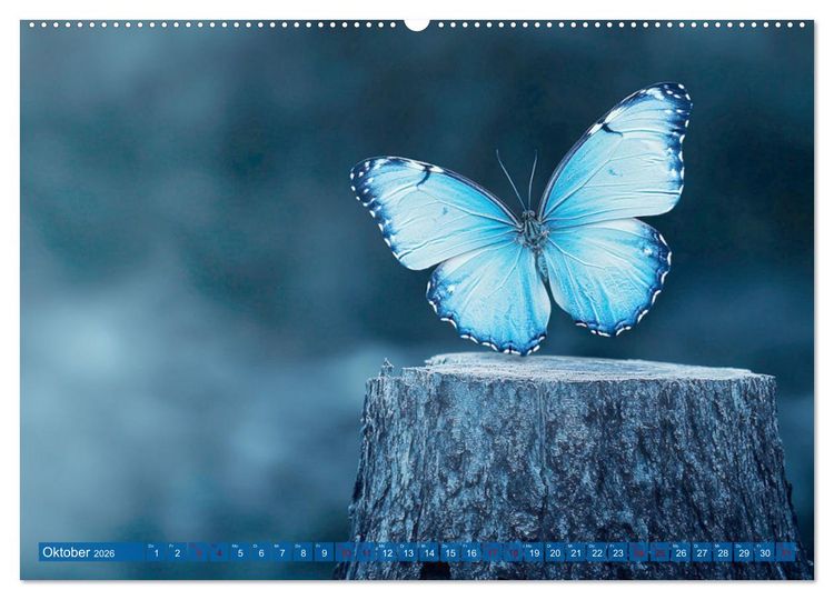 Produktbild: Blauer Zauberflug (Wandkalender 2026 DIN A2 quer), CALVENDO Monatskalender