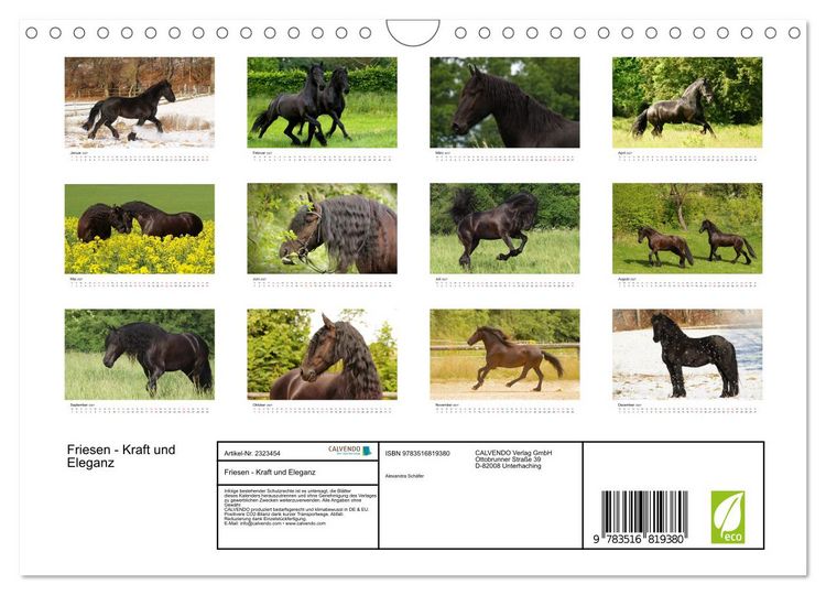 Produktbild: Friesen - Kraft und Eleganz (Wandkalender 2027 DIN A4 quer), CALVENDO Monatskalender