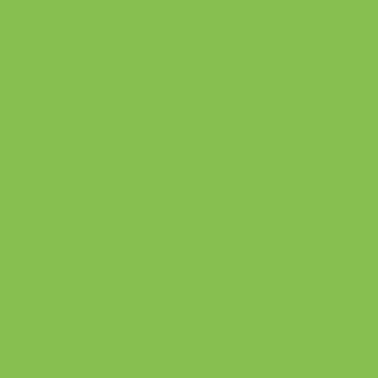 Produktbild: Brunnen Universalpapier A4 160g hgn 25Bl
