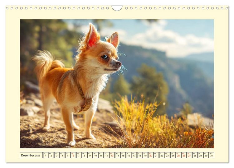 Produktbild: Reizende Chihuahuas. Winzige Hunde mit riesigem Ego und Grips (Wandkalender 2026 DIN A3 quer), CALVENDO Monatskalender