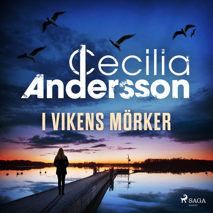 Produktbild: I vikens m&ouml;rker