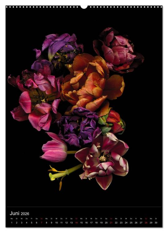 Produktbild: Blumen bei Nacht (hochwertiger Premium Wandkalender 2026 DIN A2 hoch), Kunstdruck in Hochglanz
