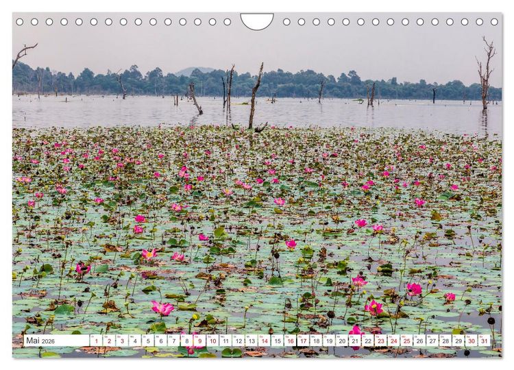 Produktbild: Siem Reap Stadt der Tempel Kambodscha (Wandkalender 2026 DIN A4 quer), CALVENDO Monatskalender