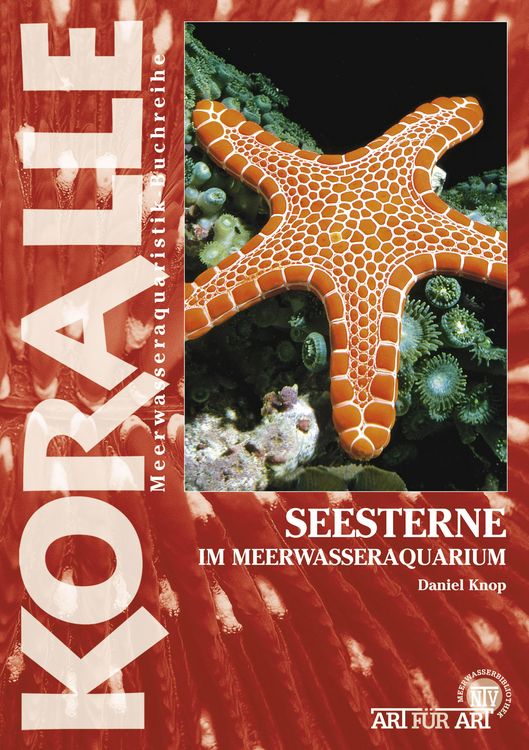 Produktbild: Seesterne im Meerwasseraquarium