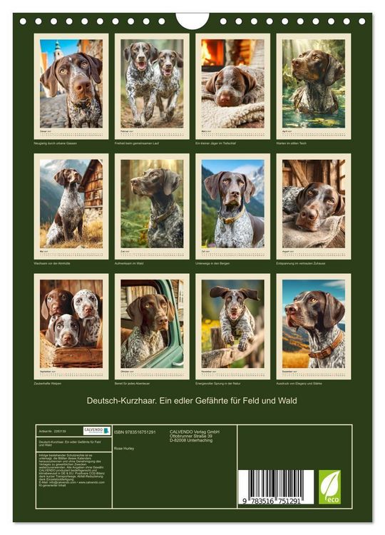 Produktbild: Deutsch-Kurzhaar. Ein edler Gef&auml;hrte f&uuml;r Feld und Wald (Wandkalender 2027 DIN A4 hoch), CALVENDO Monatskalender