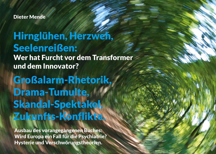 Produktbild: Hirngl&uuml;hen, Herzweh, Seelenrei&szlig;en: Wer hat Furcht vor dem Transformer und dem Innovator?