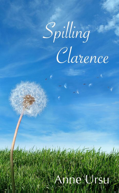 Produktbild: Spilling Clarence