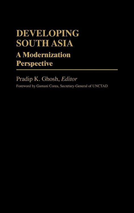 Produktbild: Developing South Asia