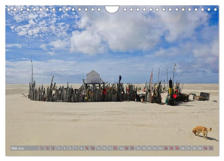 Produktbild: Vlieland Perle an der Nordsee (Wandkalender 2026 DIN A4 quer), CALVENDO Monatskalender
