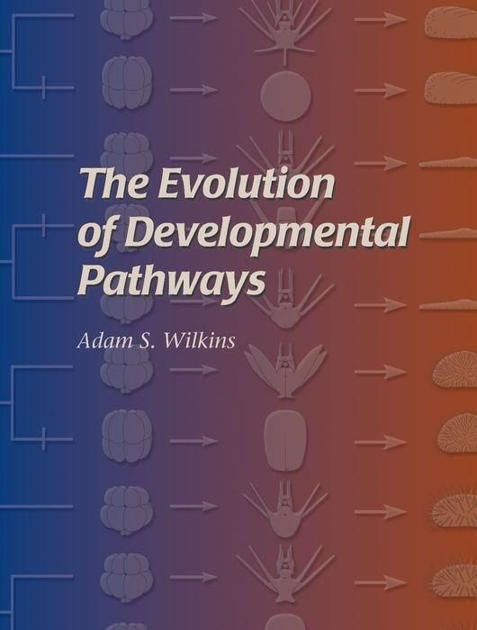 Produktbild: The Evolution of Developmental Pathways