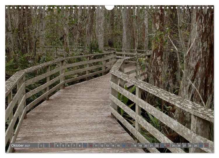 Produktbild: Sunshine State Florida Natur, Tierwelt und Nationalparks (Wandkalender 2027 DIN A3 quer), CALVENDO Monatskalender
