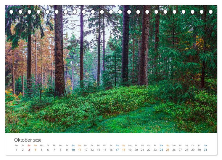 Produktbild: Rennsteig - Weitwanderweg (Tischkalender 2026 DIN A5 quer), CALVENDO Monatskalender