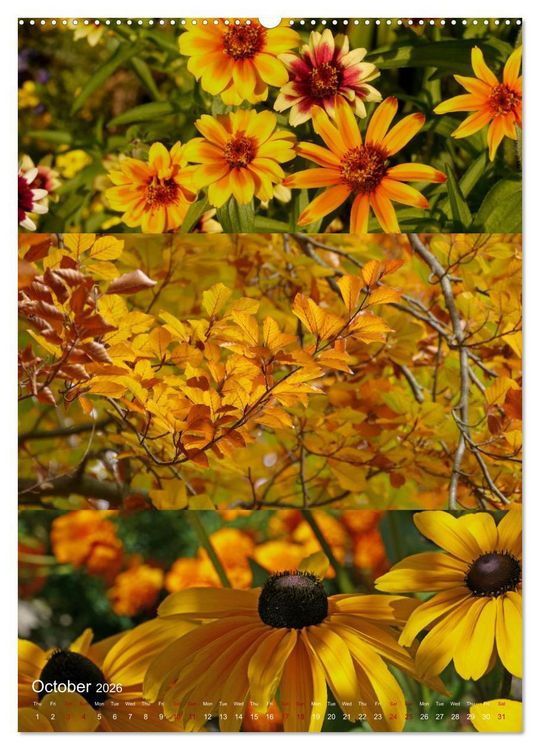 Produktbild: Colours of the Year (Wall Calendar 2026 DIN A2 portrait), CALVENDO 12 Month Wall Calendar