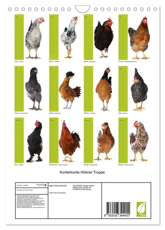 Produktbild: Kunterbunte H&uuml;hner Truppe (Wandkalender 2026 DIN A4 hoch), CALVENDO Monatskalender
