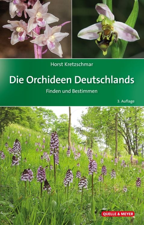 Produktbild: Die Orchideen Deutschlands