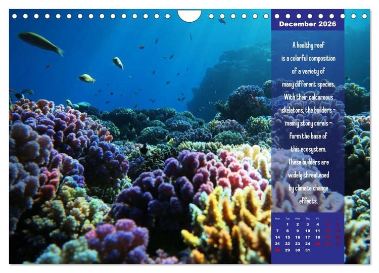 Produktbild: Diving into the Red Sea (Wall Calendar 2026 DIN A4 landscape), CALVENDO 12 Month Wall Calendar