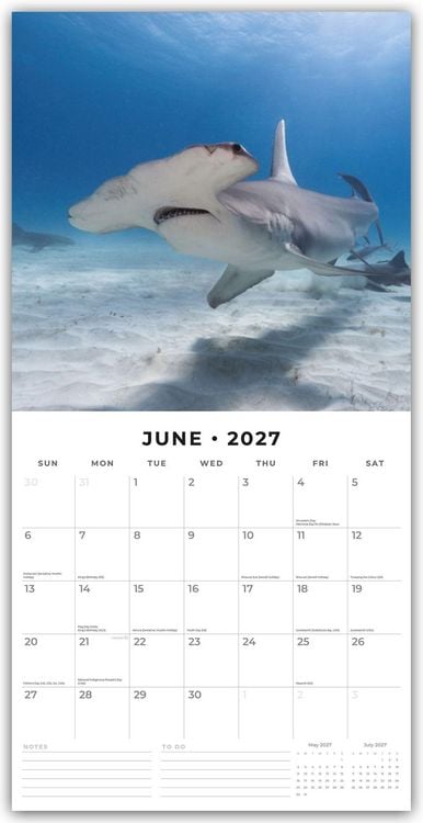 Produktbild: Sharks &ndash; Haie 2027 &ndash; 16-Monatskalender