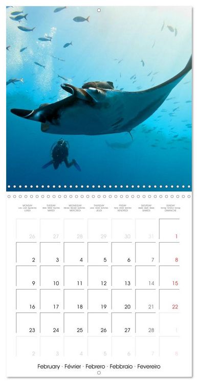 Produktbild: Maldives - Sun, water and beach (Wall Calendar 2026 12 &times; 12 Inch) CALVENDO 12 Month Wall Calendar